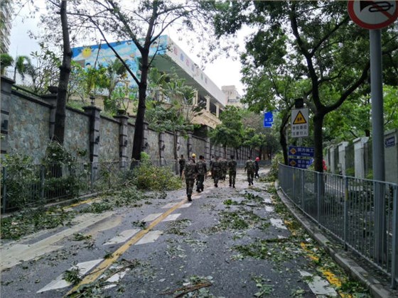 可愛(ài)的人民子弟兵 可愛(ài)的人民子弟兵